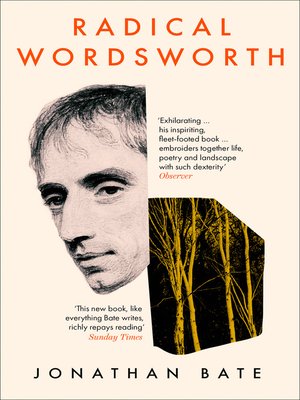 Radical Wordsworth - ebook
